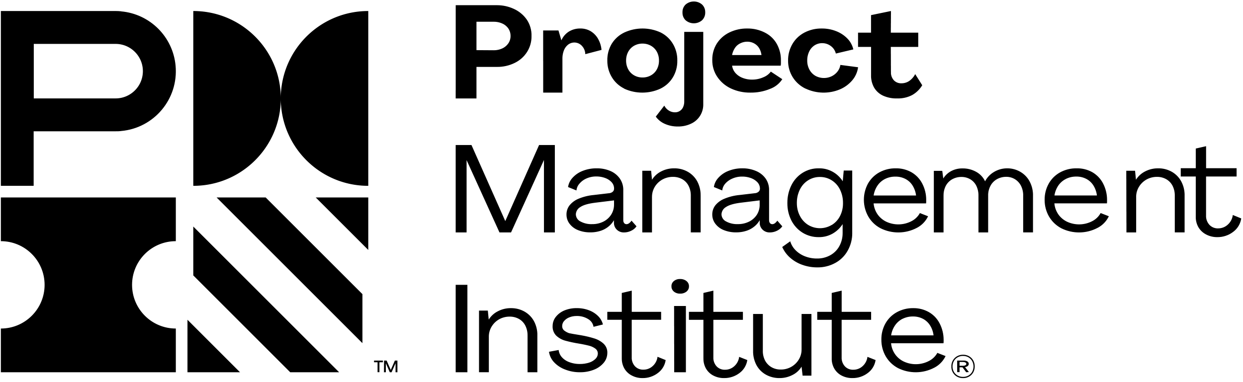 Project Management Institute logo